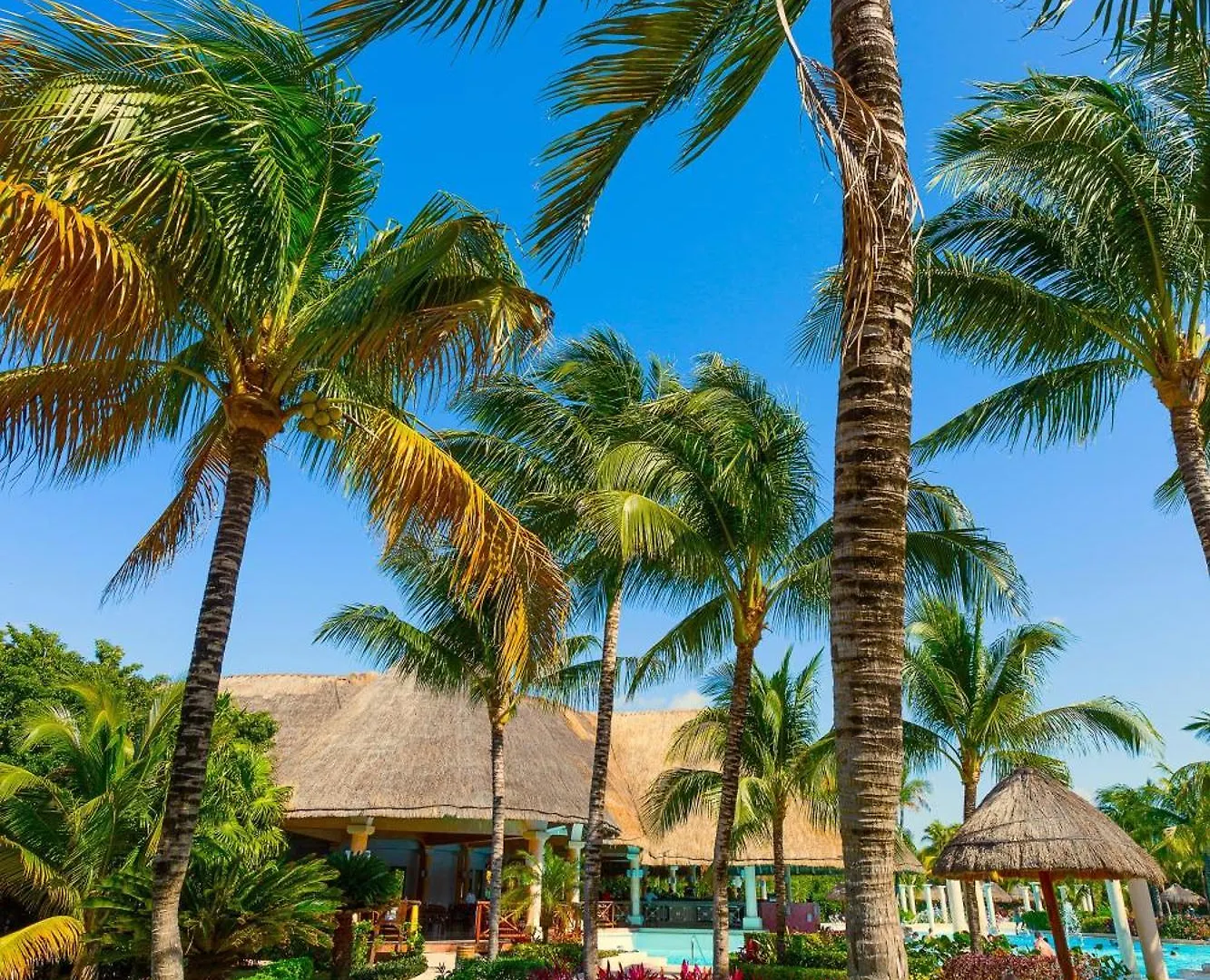 ***** Resort Trs Yucatan Hotel - Adults Only Akumal Mexico